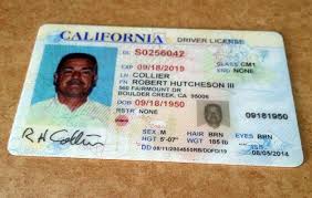 Как получить Driver's license в США - consultantlm.com