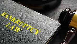 Consumer Law Bankruptcy and Credit Recovery Guide 2025 Rebuild Credit After Bankruptcy Successfully - consultantlm.com