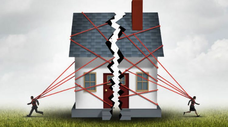 Real Estate Property Disputes 2025 Tips for Boundary Lines Co-Ownership and Contract Breaches - consultantlm.com