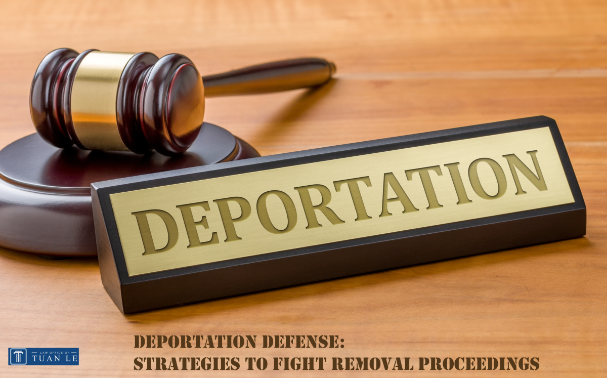 Immigration Removal Defense 2025 How to Fight Deportation and Know Your Legal Options - consultantlm.com