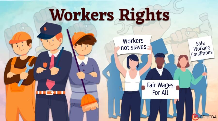 Know Your Worker Rights in the US 2025 Fair Pay Safe Conditions and Legal Help - consultantlm.com