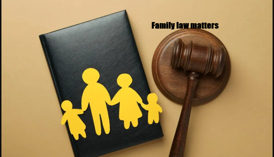 Divorce Process Explained 2025 Family Law Guide How to Protect Assets and Child Custody Rights - consultantlm.com